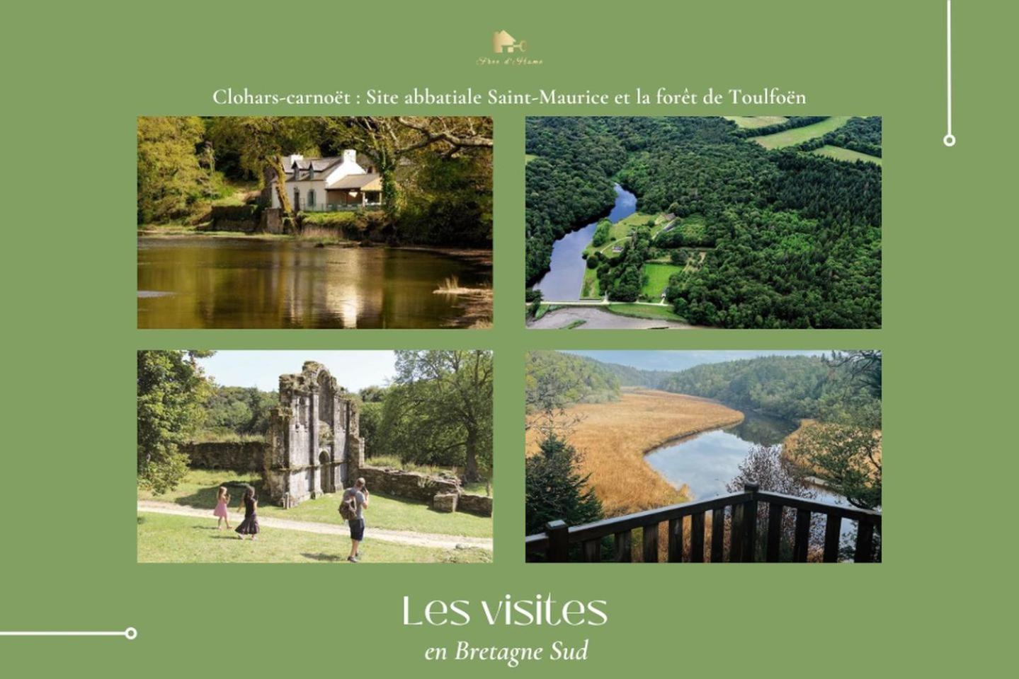 Le Belaven, Neuf, Cosy, Terrasse, Jardin, Kerfany Plage, 1 A 6 Pers Moëlan-sur-Mer 外观 照片